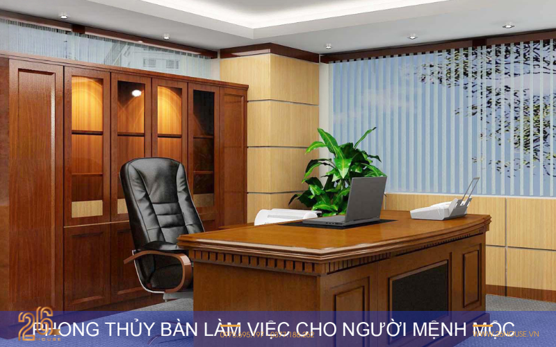 Mệnh Mộc hợp hướng nào để làm việc hiệu quả? 